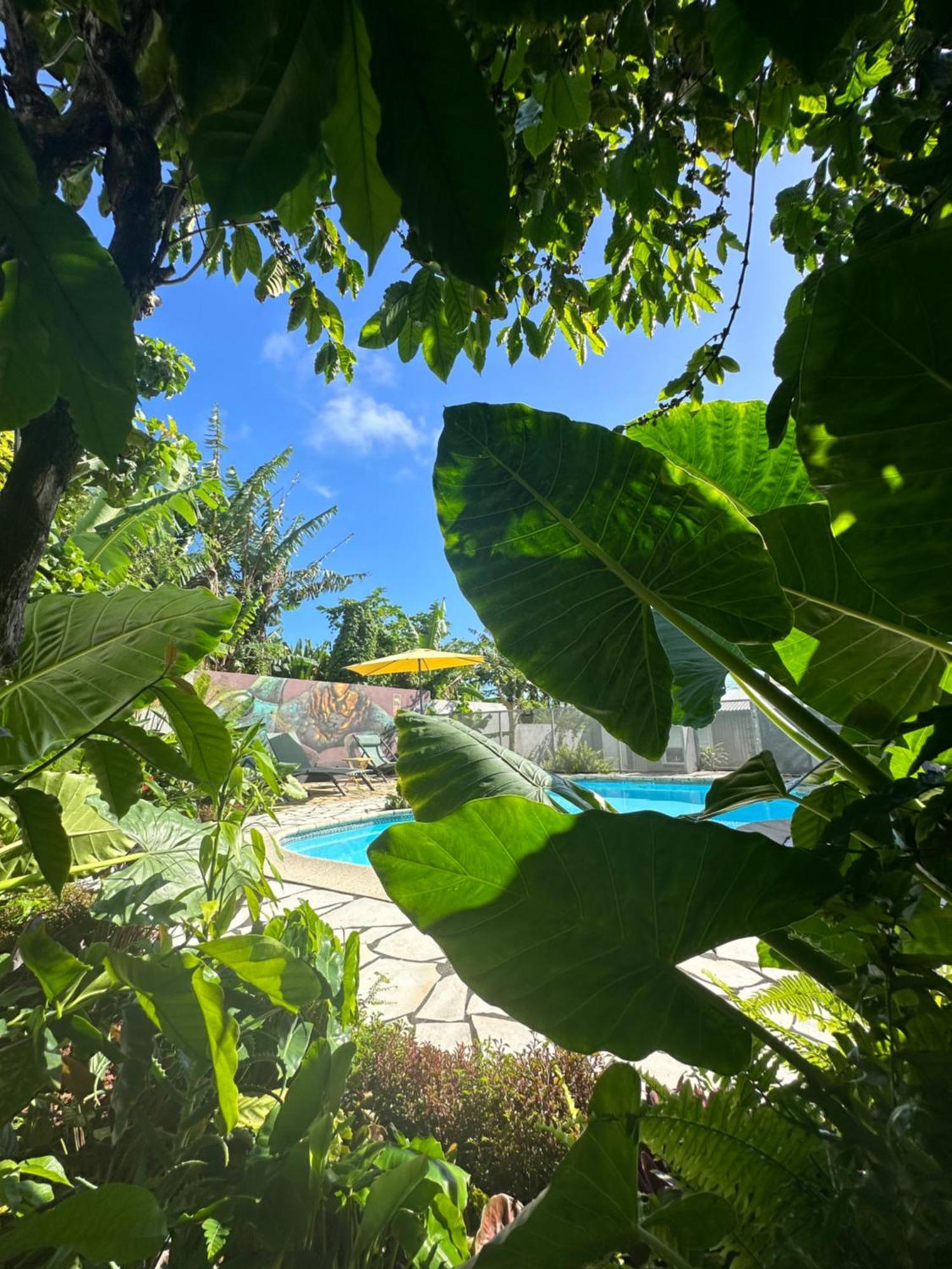 Lendormi - Maison Avec Piscine - Sainte Rose Buitenkant foto